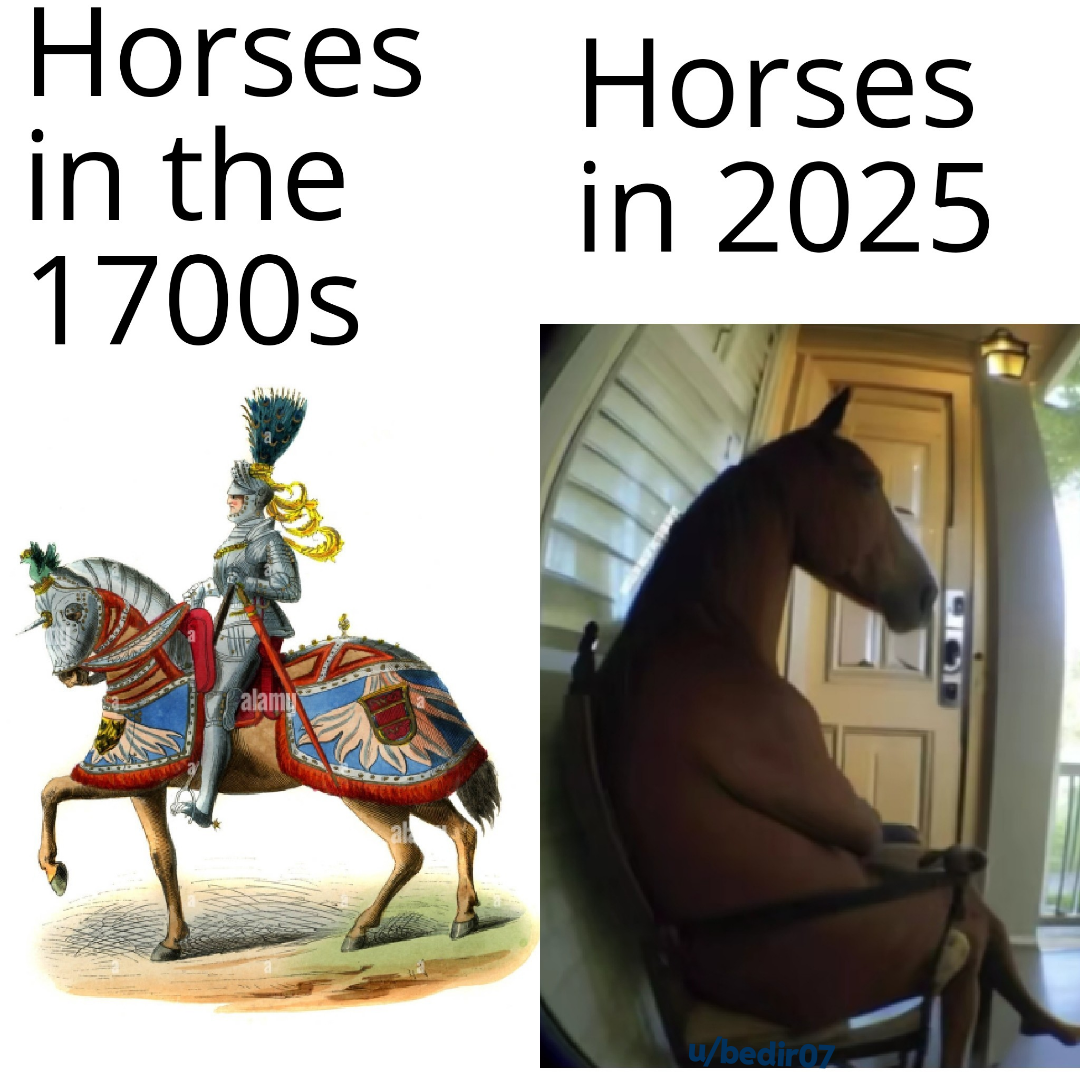Horses in 2025