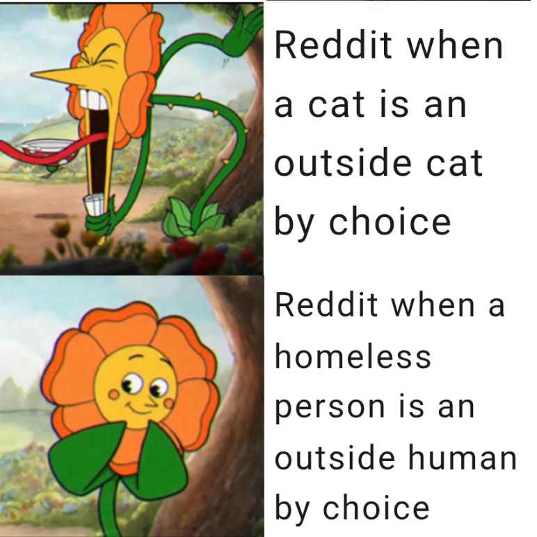 They're hunting down all the birds or something