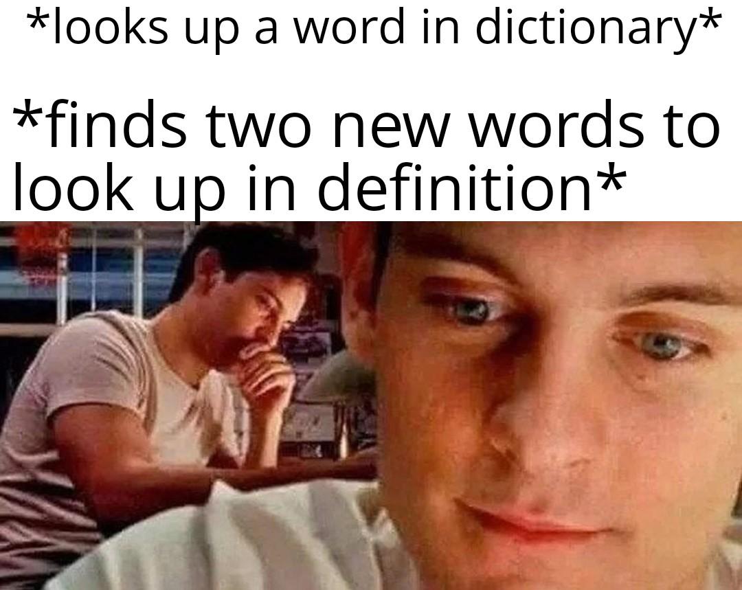 Imjuststupid