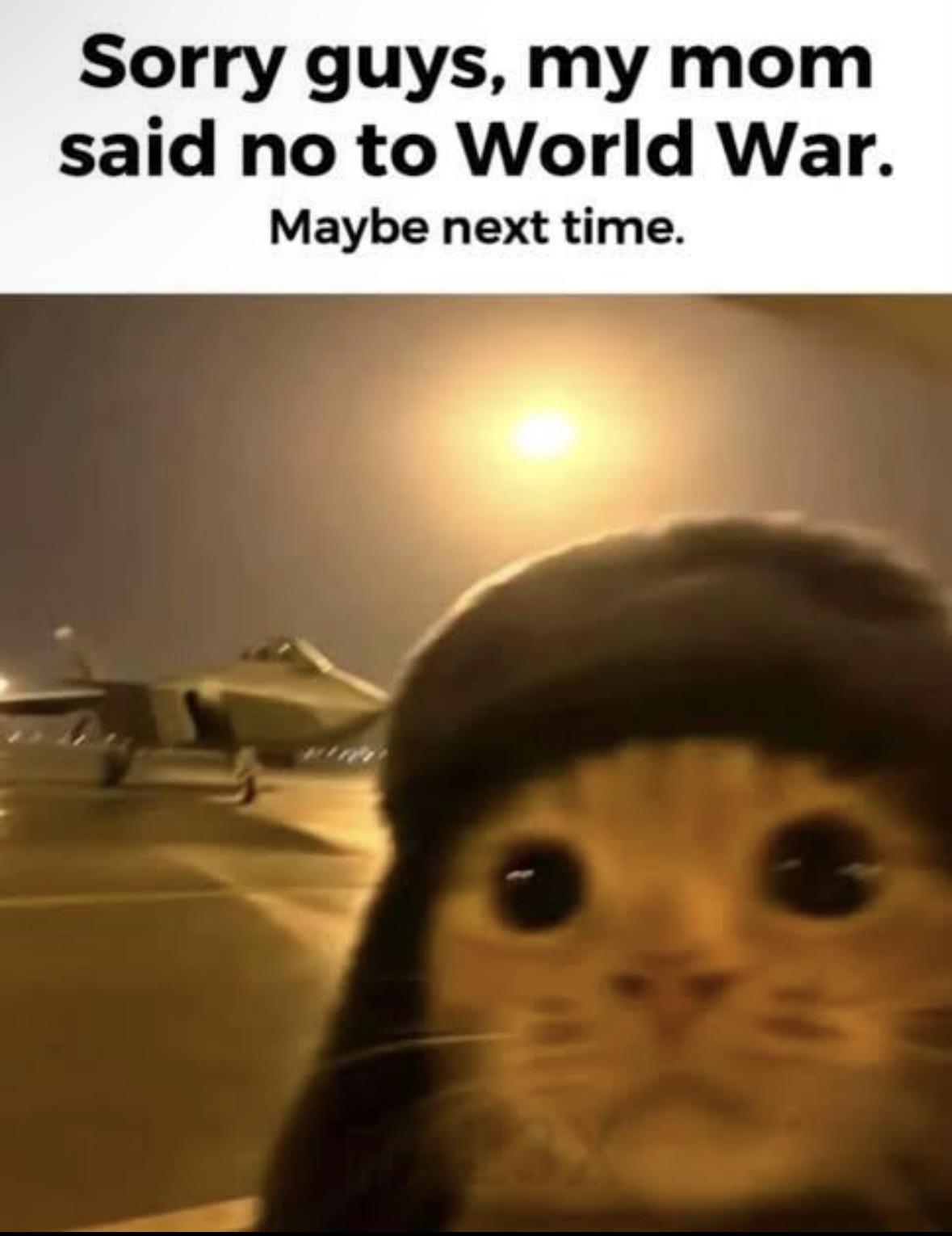 Mom said no, sorry