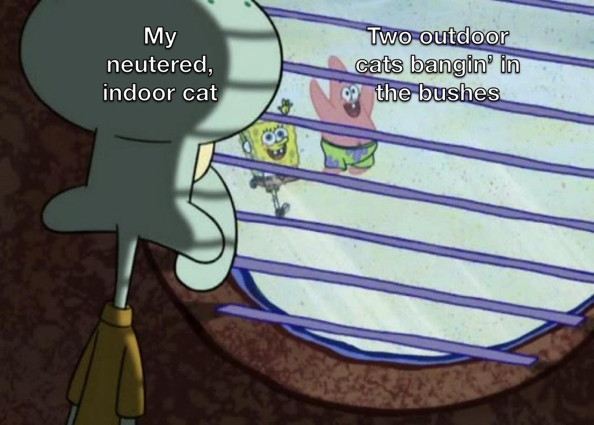 Sorry, buddy!
