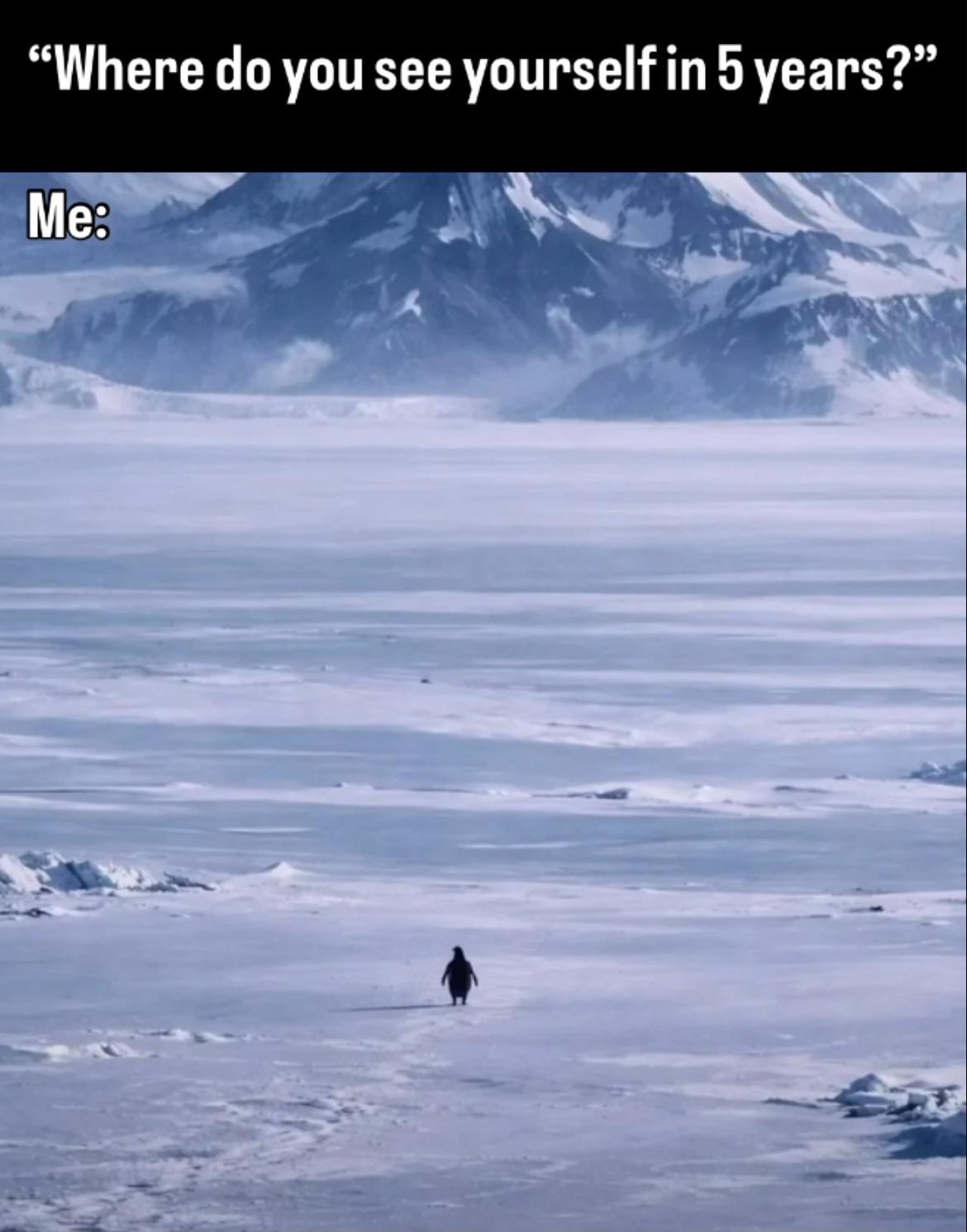 for legal reasons this is a joke