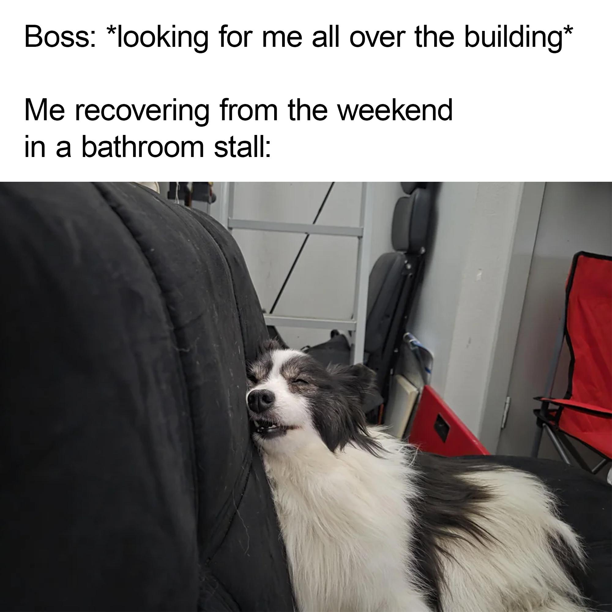 It's just about survival