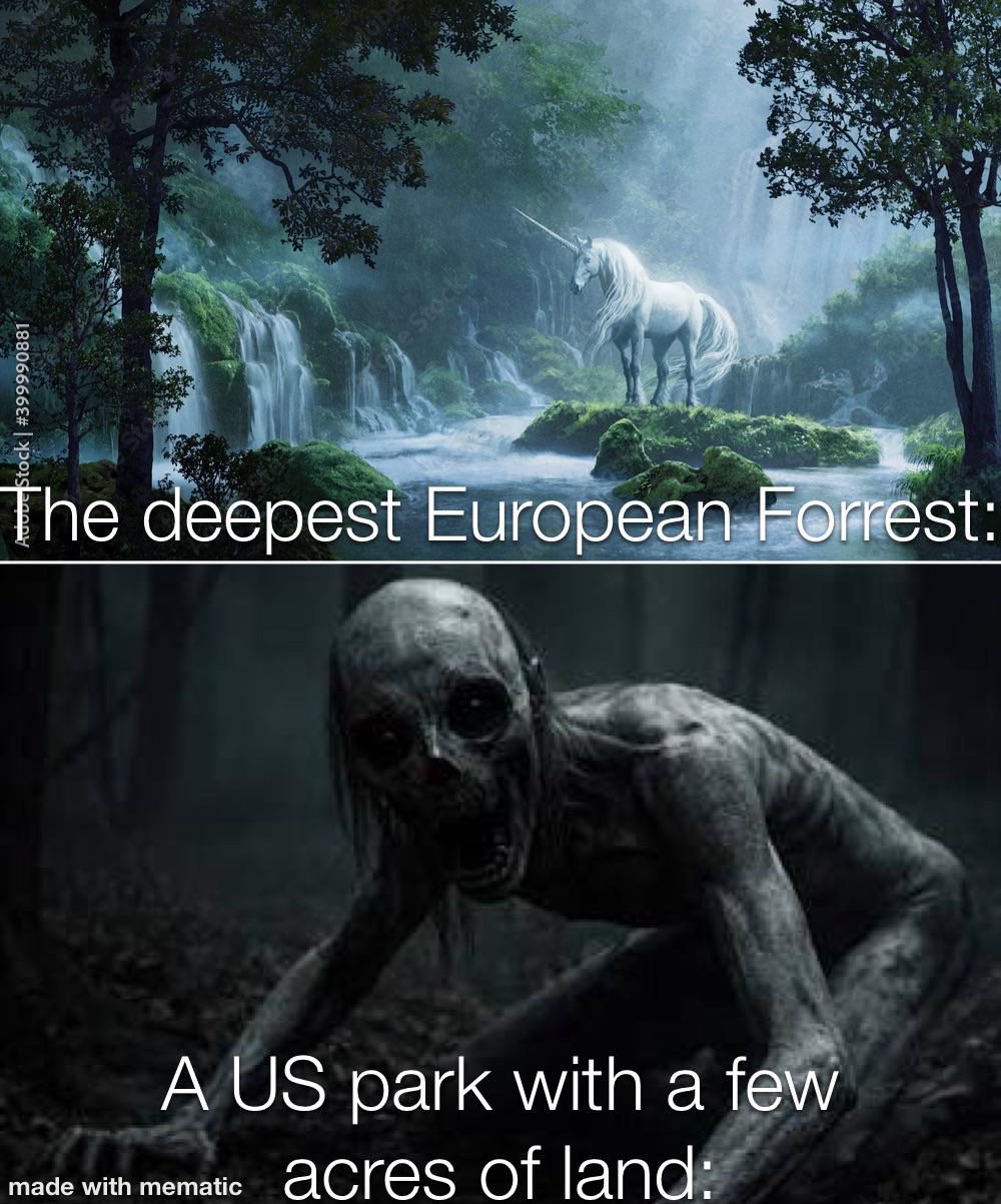 US wilderness is why 2nd amendment and no free healthcare exists