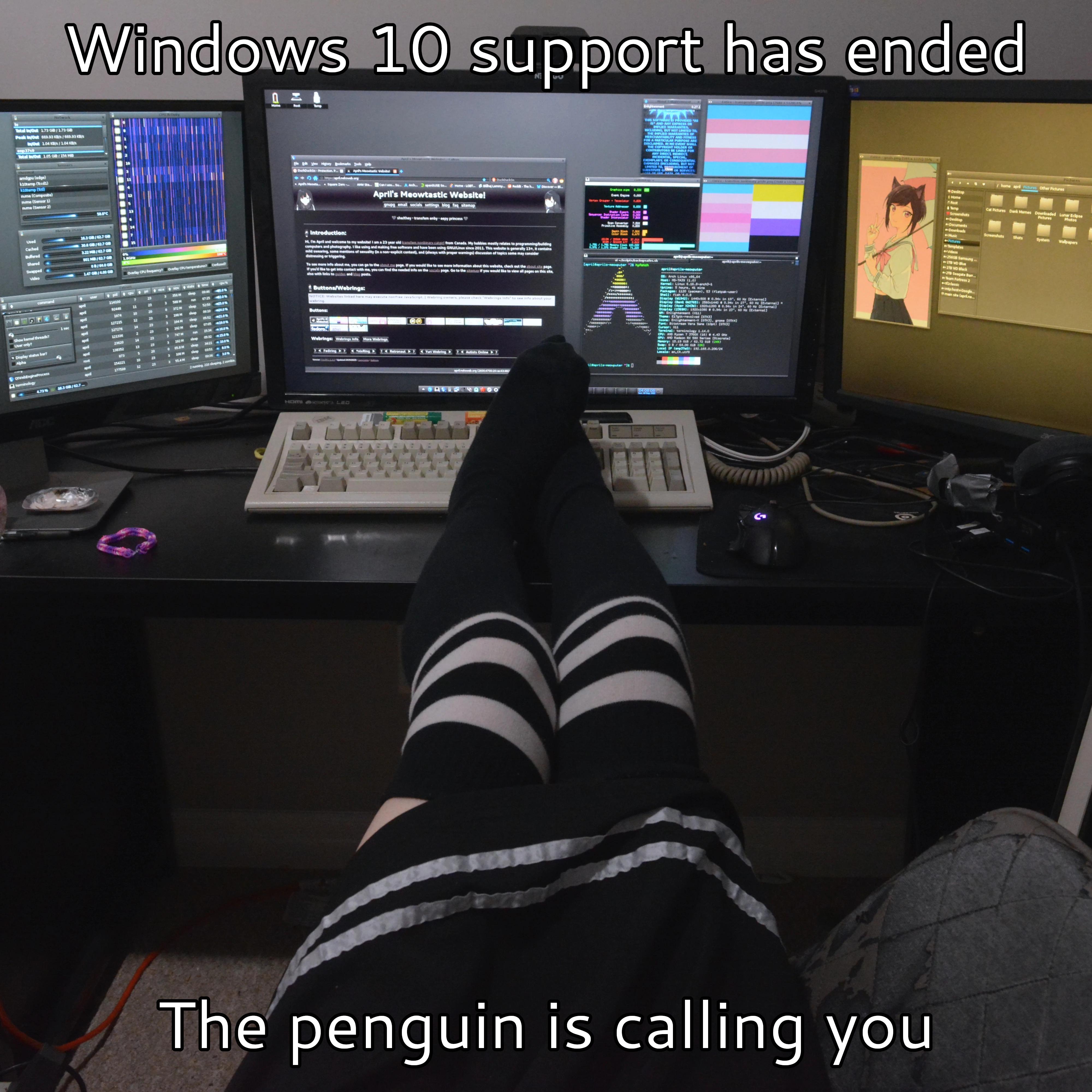 The penguin needs you