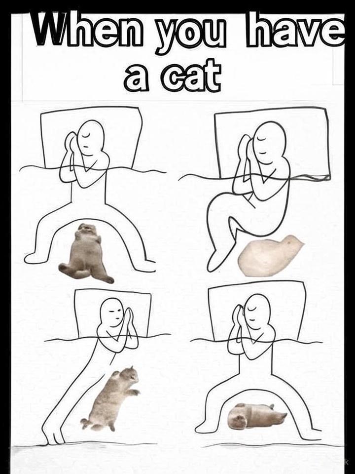Sleeping with a cat