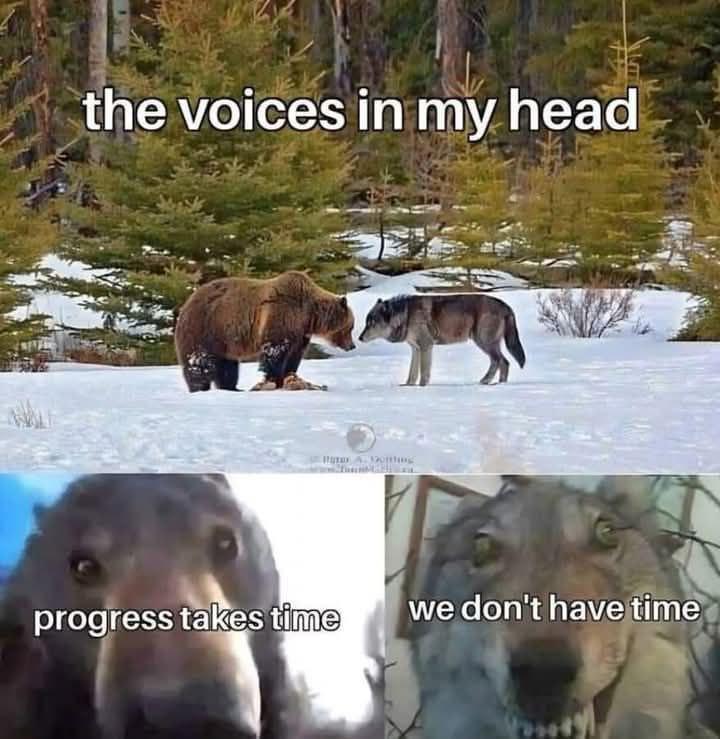 Gotta flip a coin