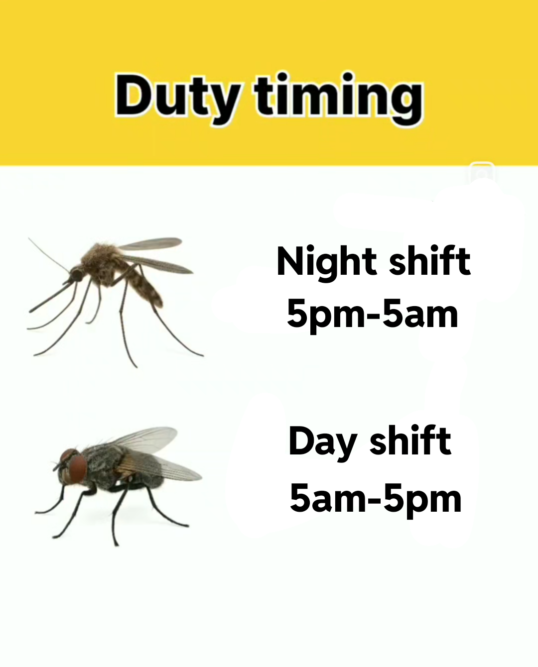 Reporting to duty sir