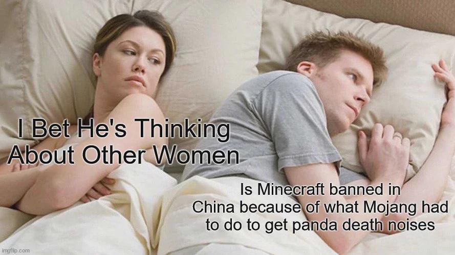 You need a VPN to play Minecraft in China