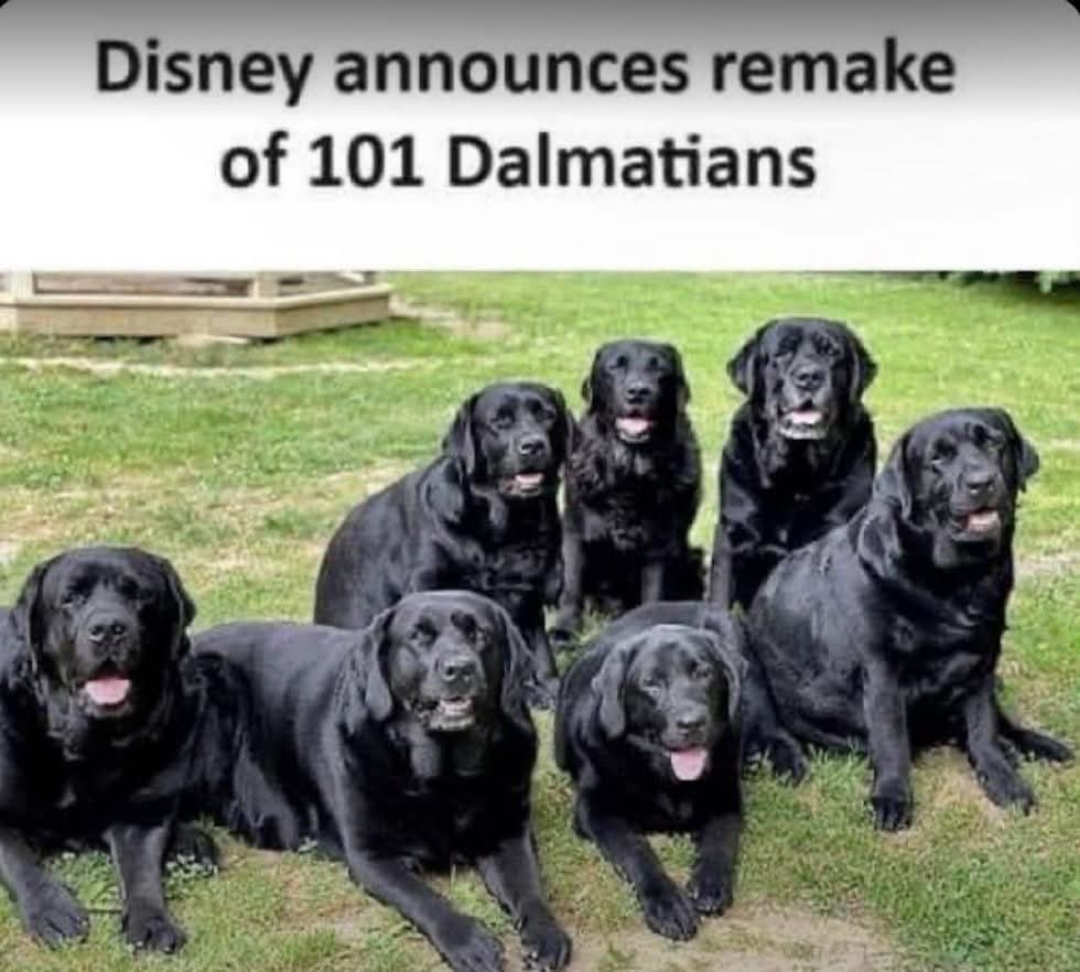 101 Dalmatians