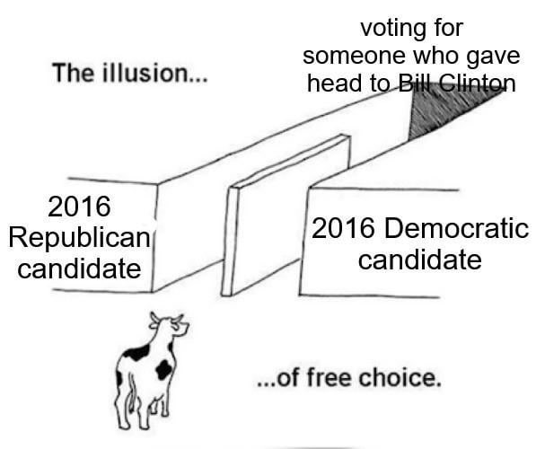 Don't blame me, I voted for McMullin