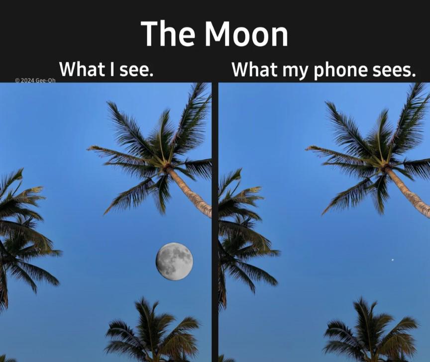 This contains a real photo