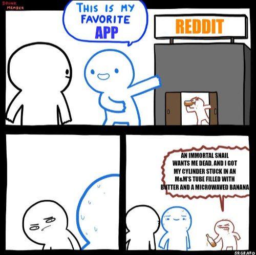 Good afternoon reddit