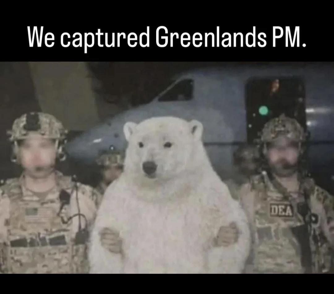 Would've been shot already if it were a Black bear