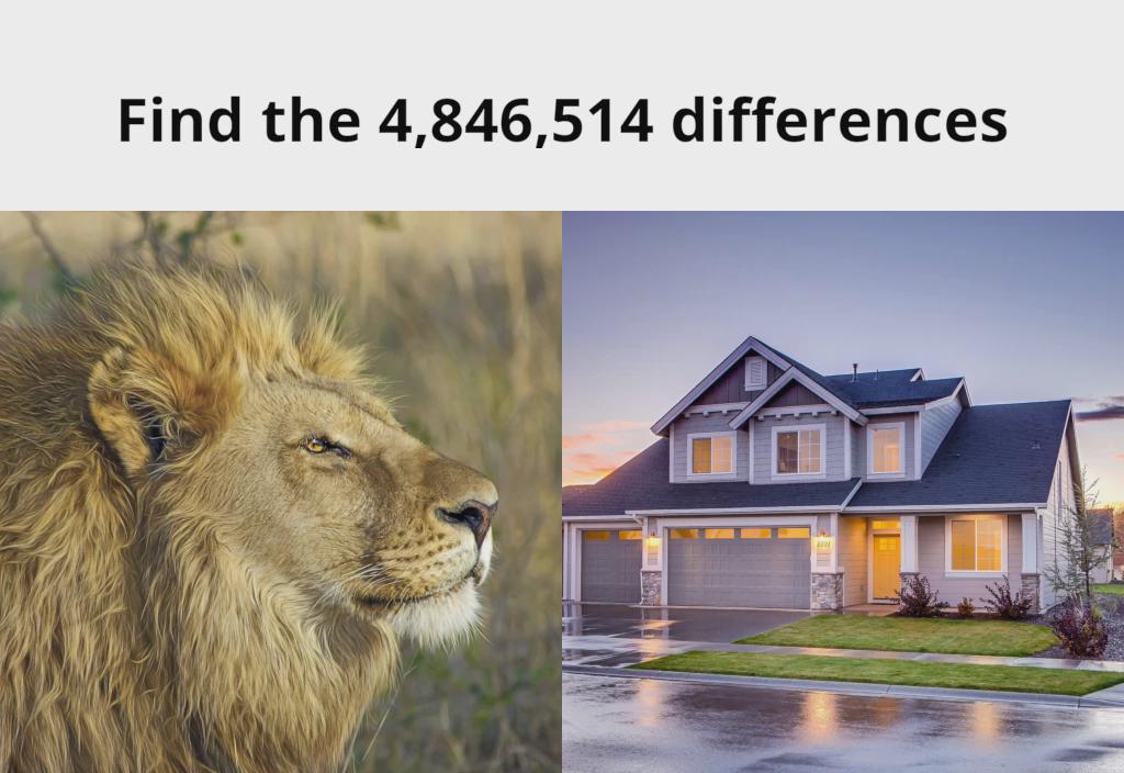 Can you spot the differences?