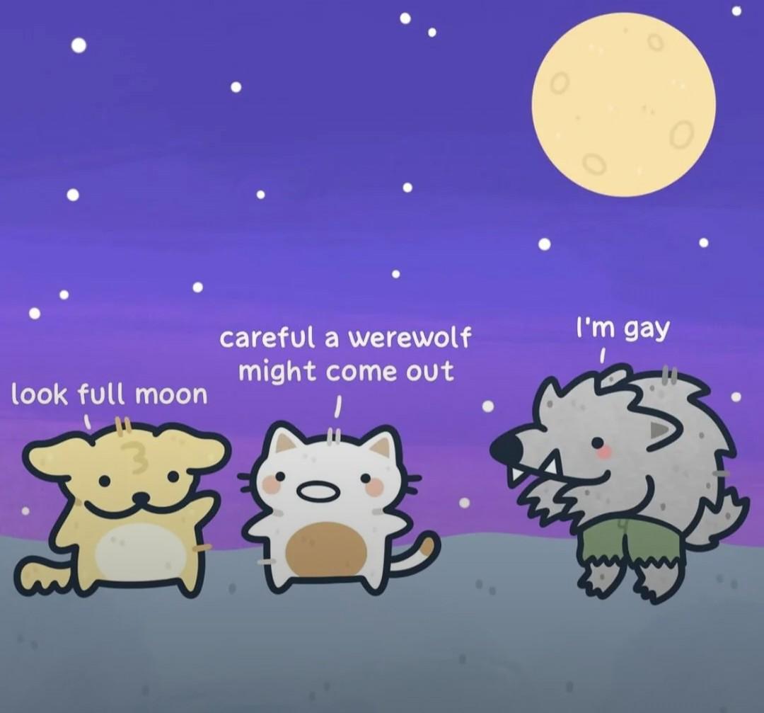I'm a werewolf
