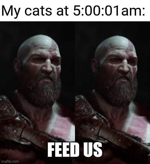 Why y'all so mean about it