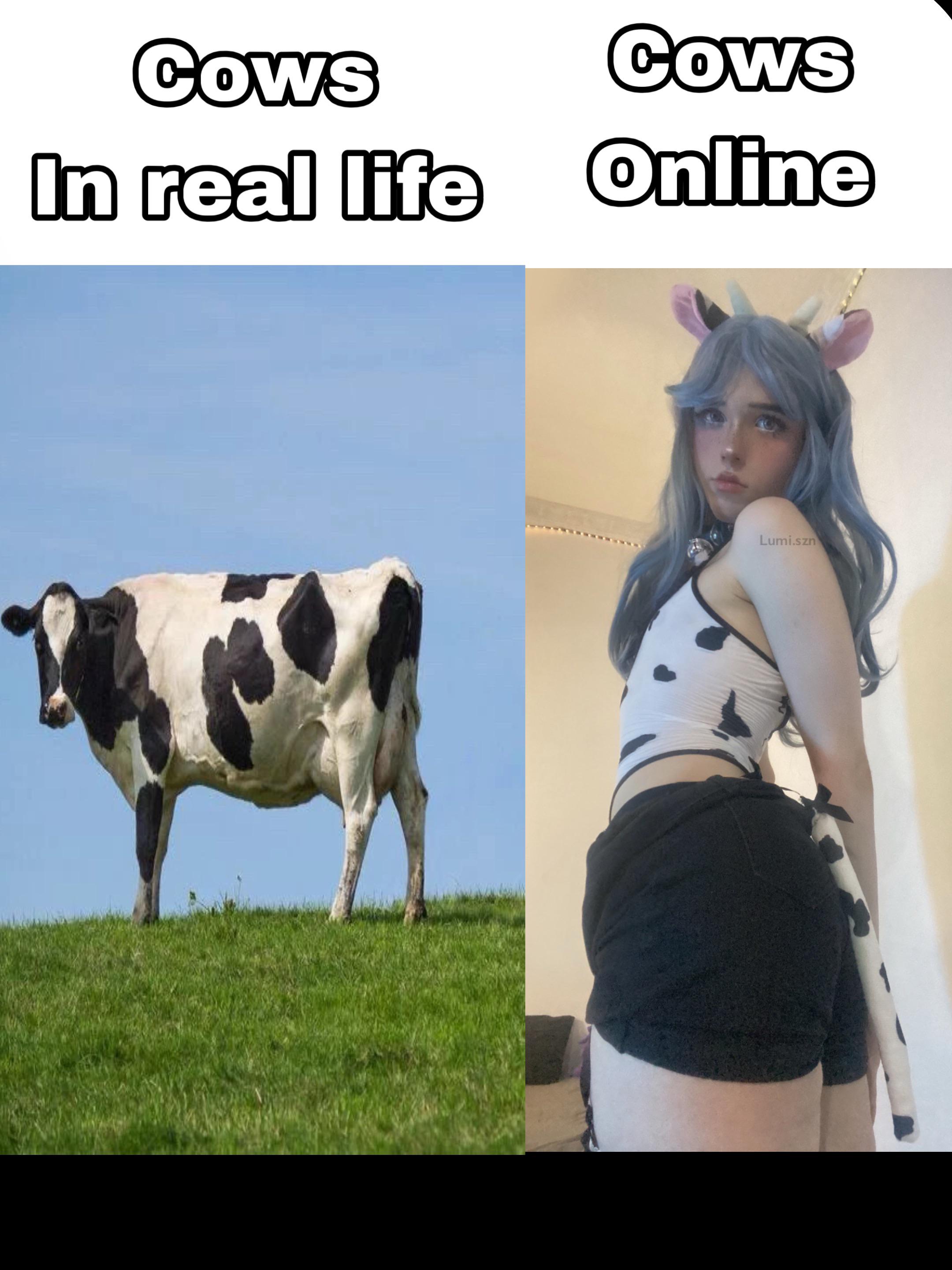 Moooooow
