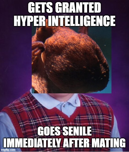 So Much Wasted Potential for the Octopus