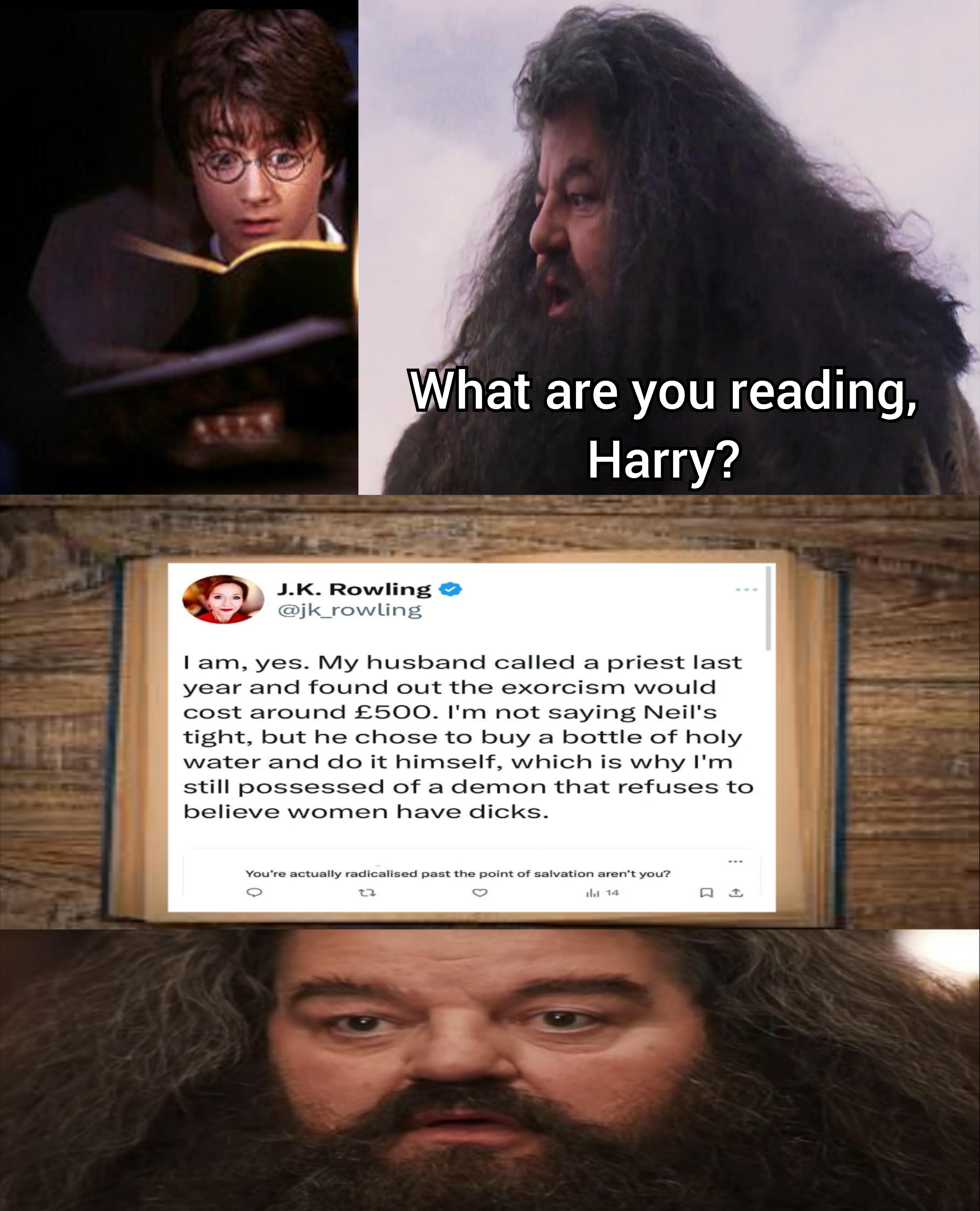 Harry Potter and it's consequences