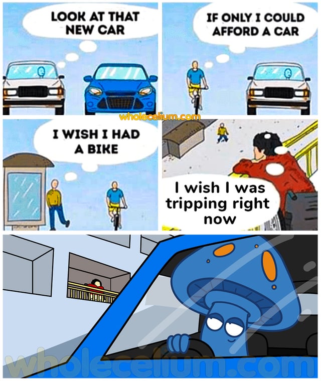 All I want is to trip please...