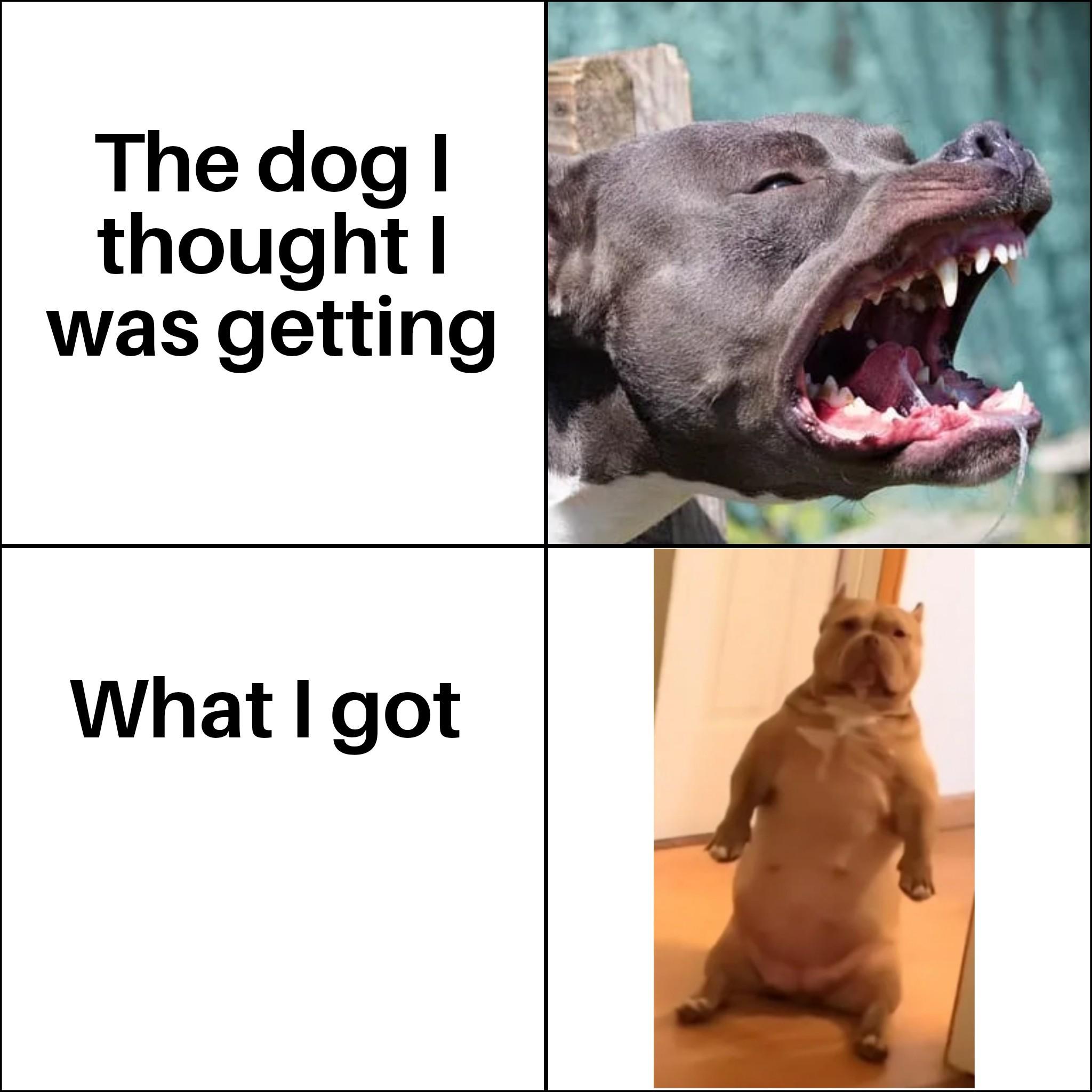 Thanks for eating half the fridge