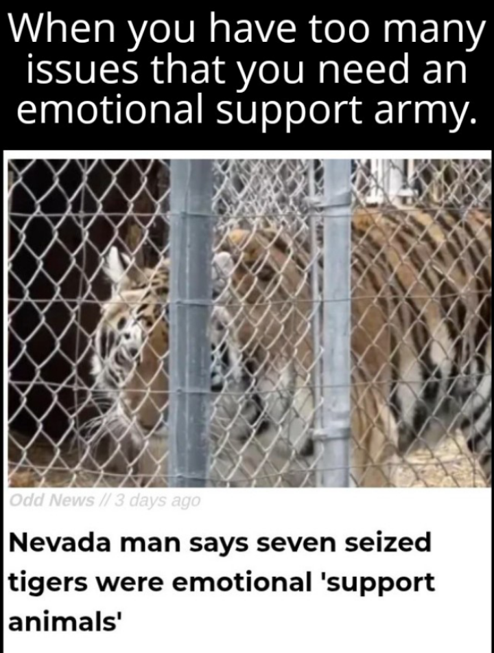 The tiger king of Nevada