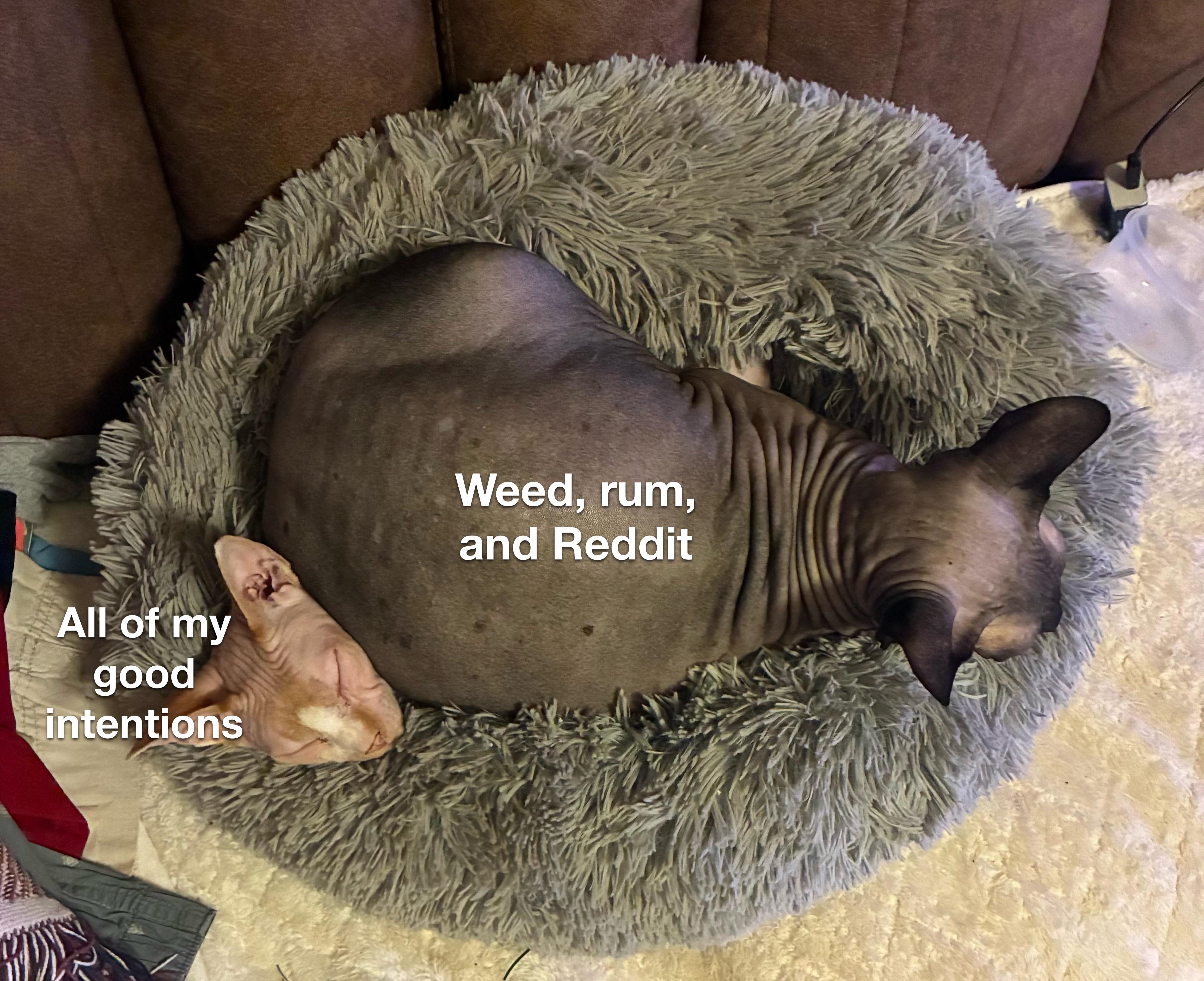 I’m fitn’ to get productive, tomorrow