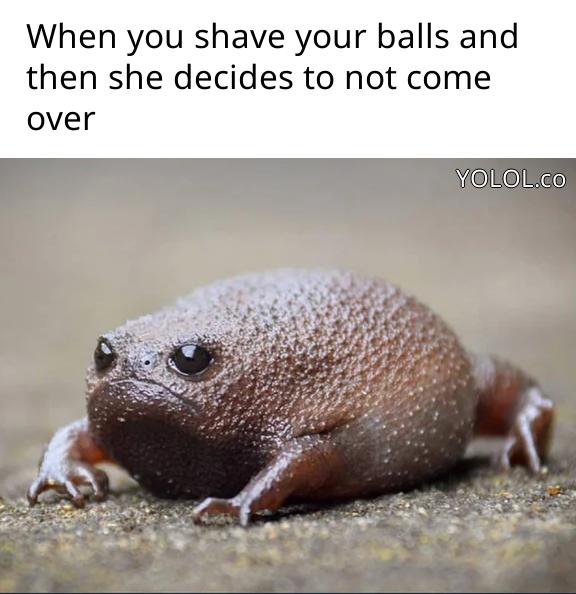 *Sadge