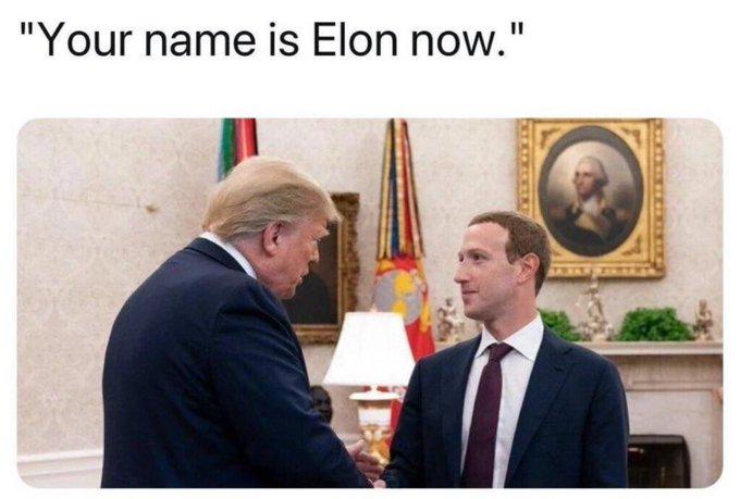 Elon Zuk