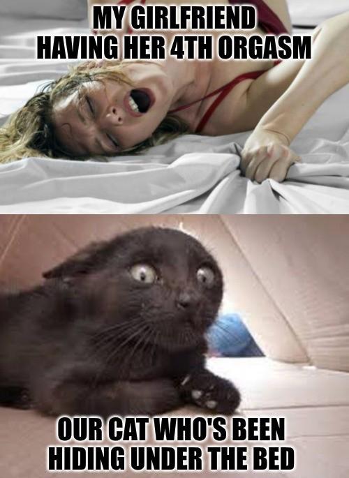 Traumatized