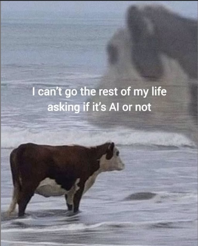 How scrolling on the internet feels like these days