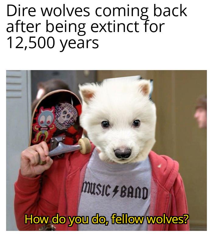 Furries rejoice
