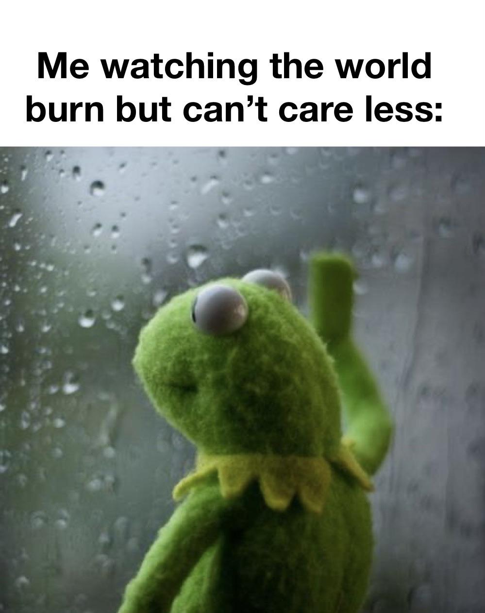 Everything is shit but at least it’s Christmas