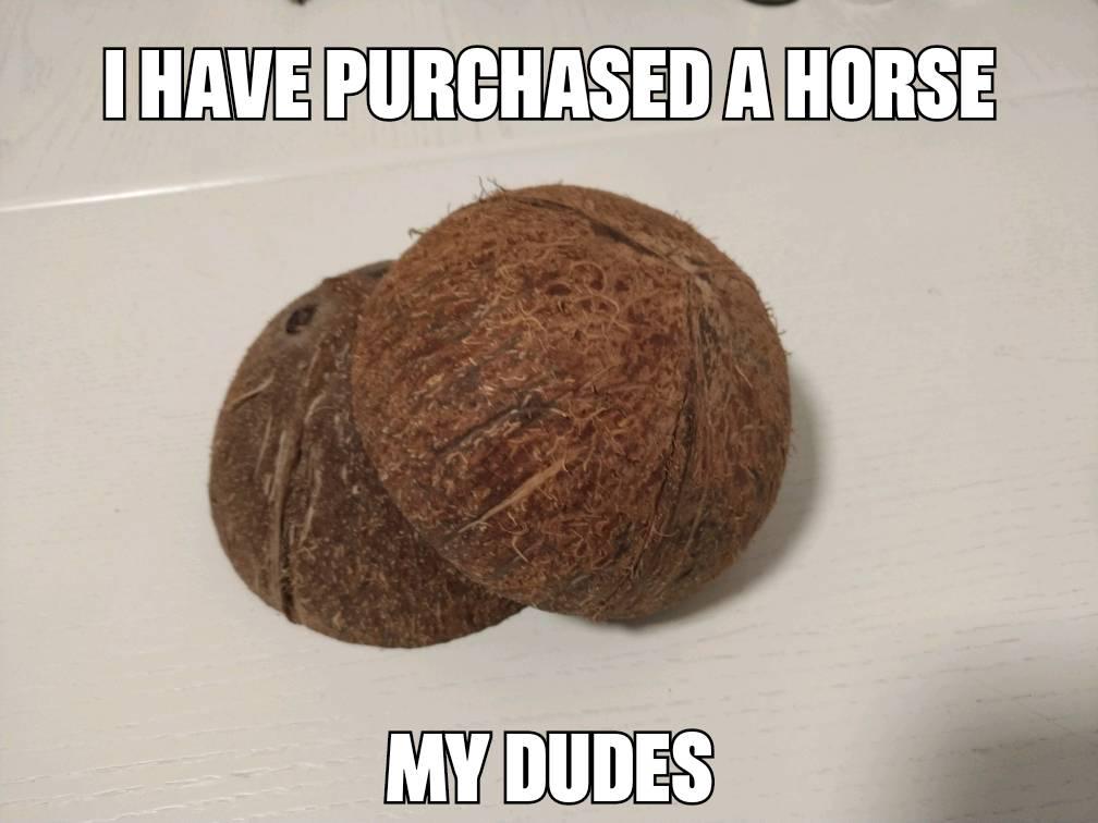 It's time to find the Holy Grail
