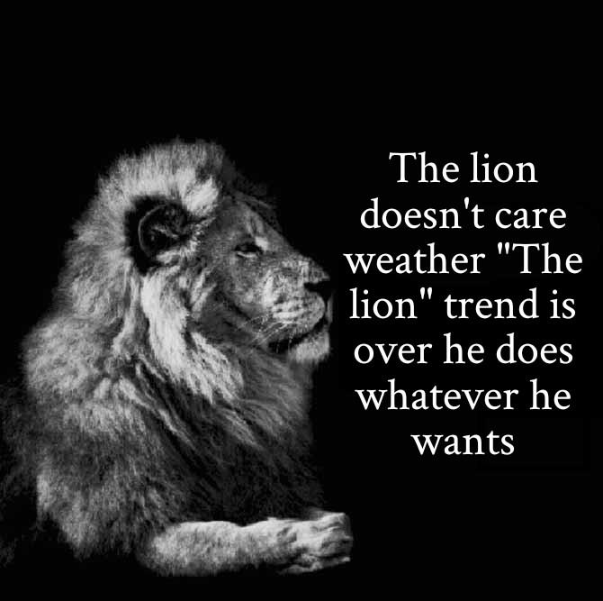 The lion