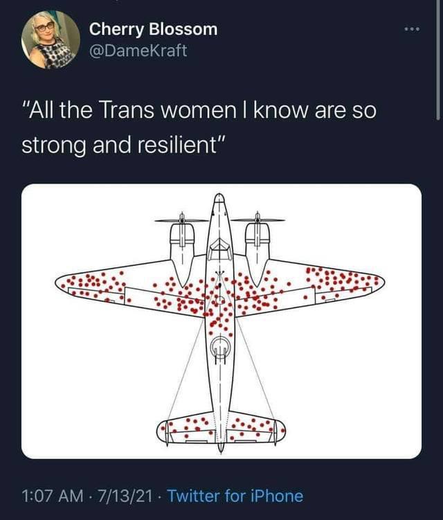 "All the trans women I know are so strong and resilient"