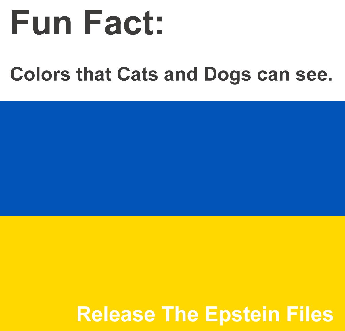 Did you know that some animals have Dichromatic vision?