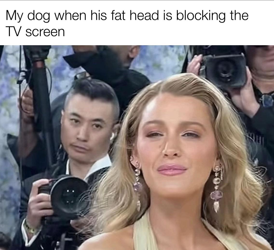 📺 🐶👤