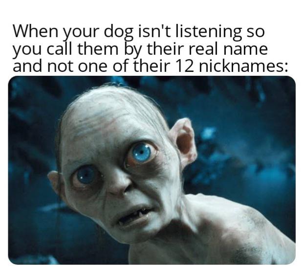 Listen up buddy
