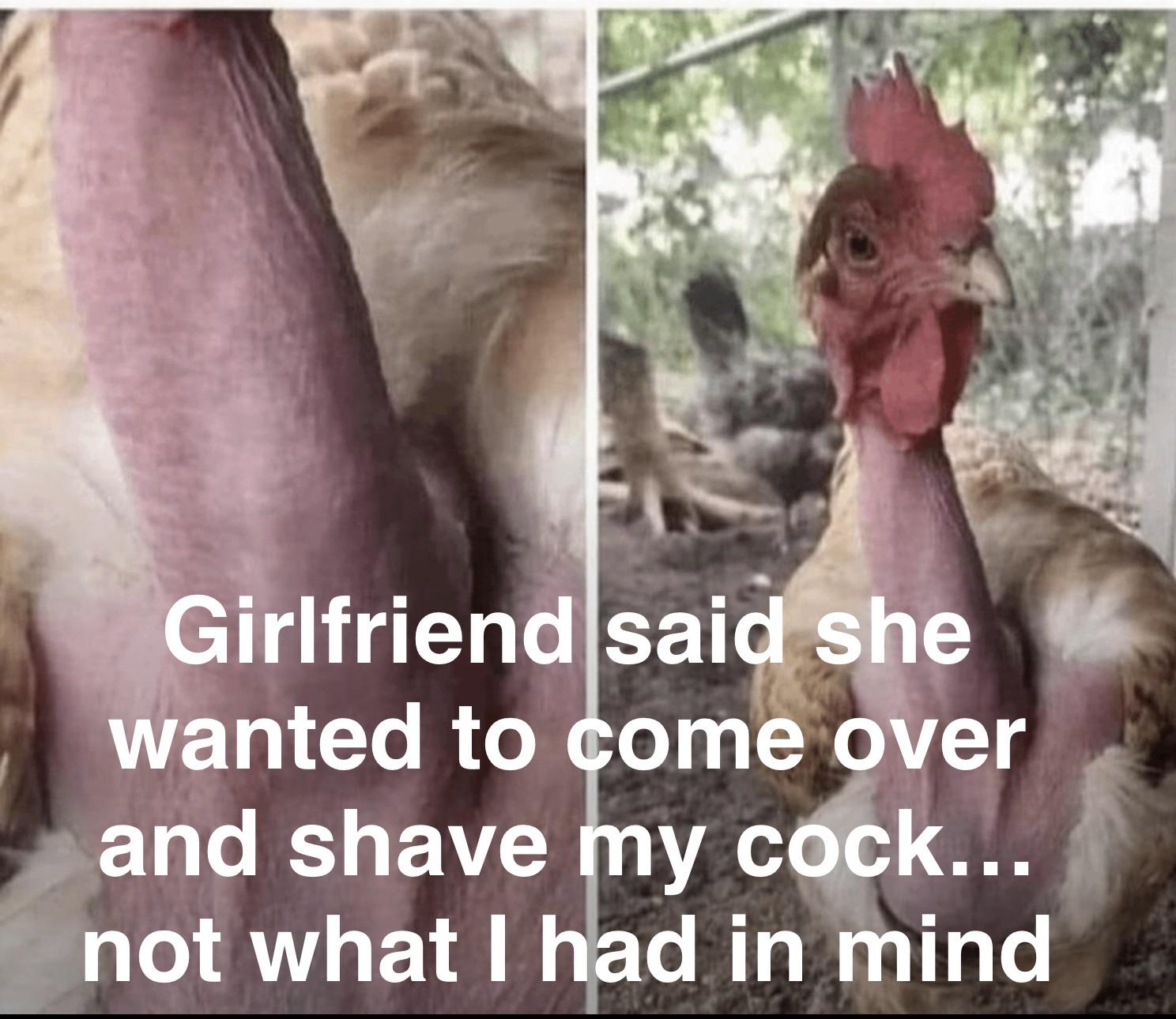 Winner winner chicken dinner