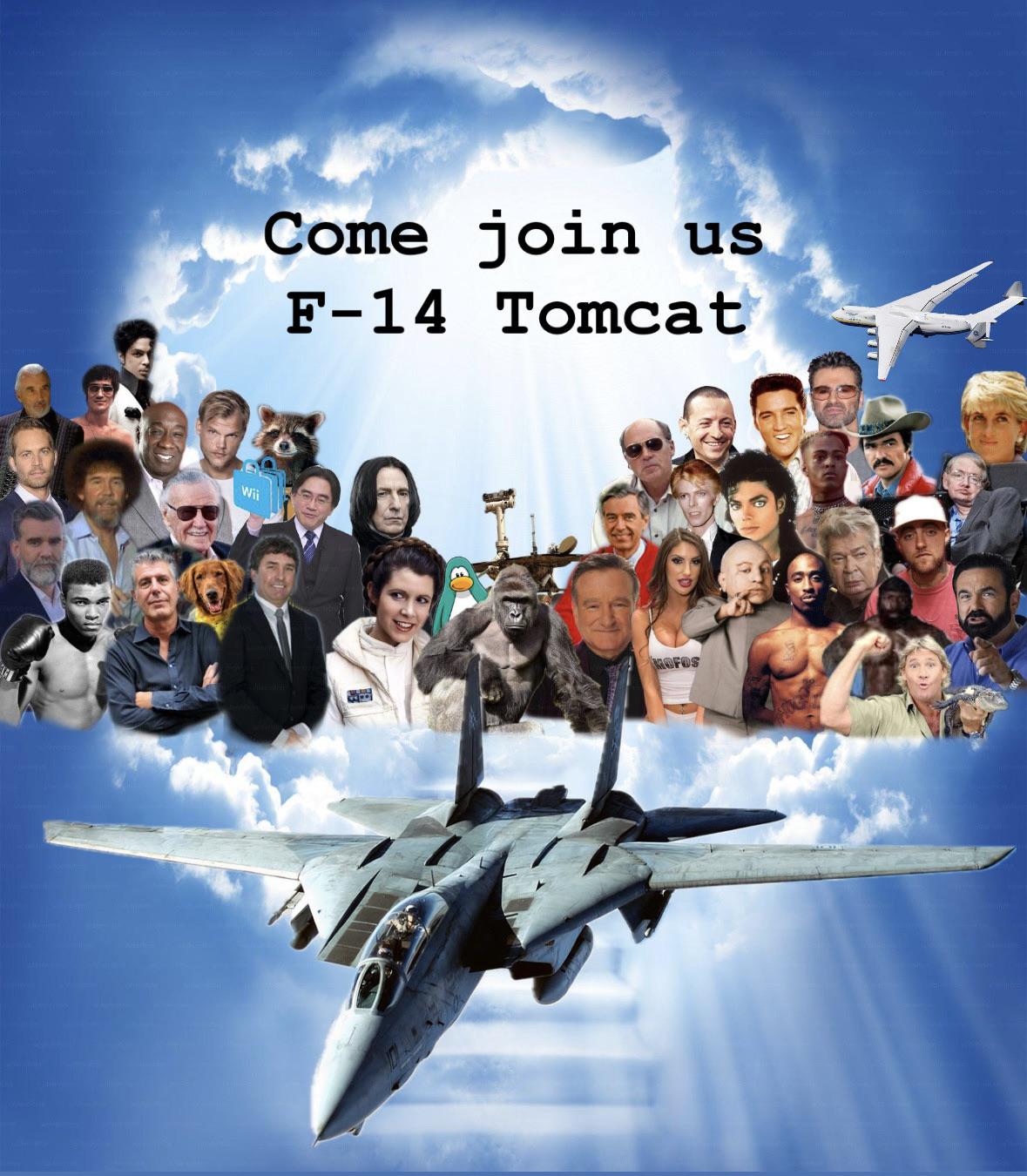 Rip Tomcat