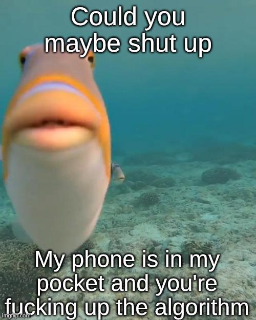 Please!?!