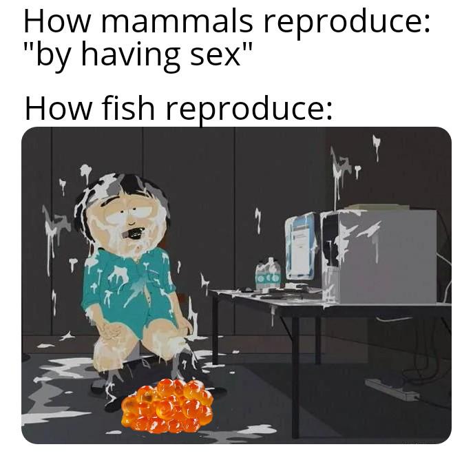 It doesn't sound that exciting