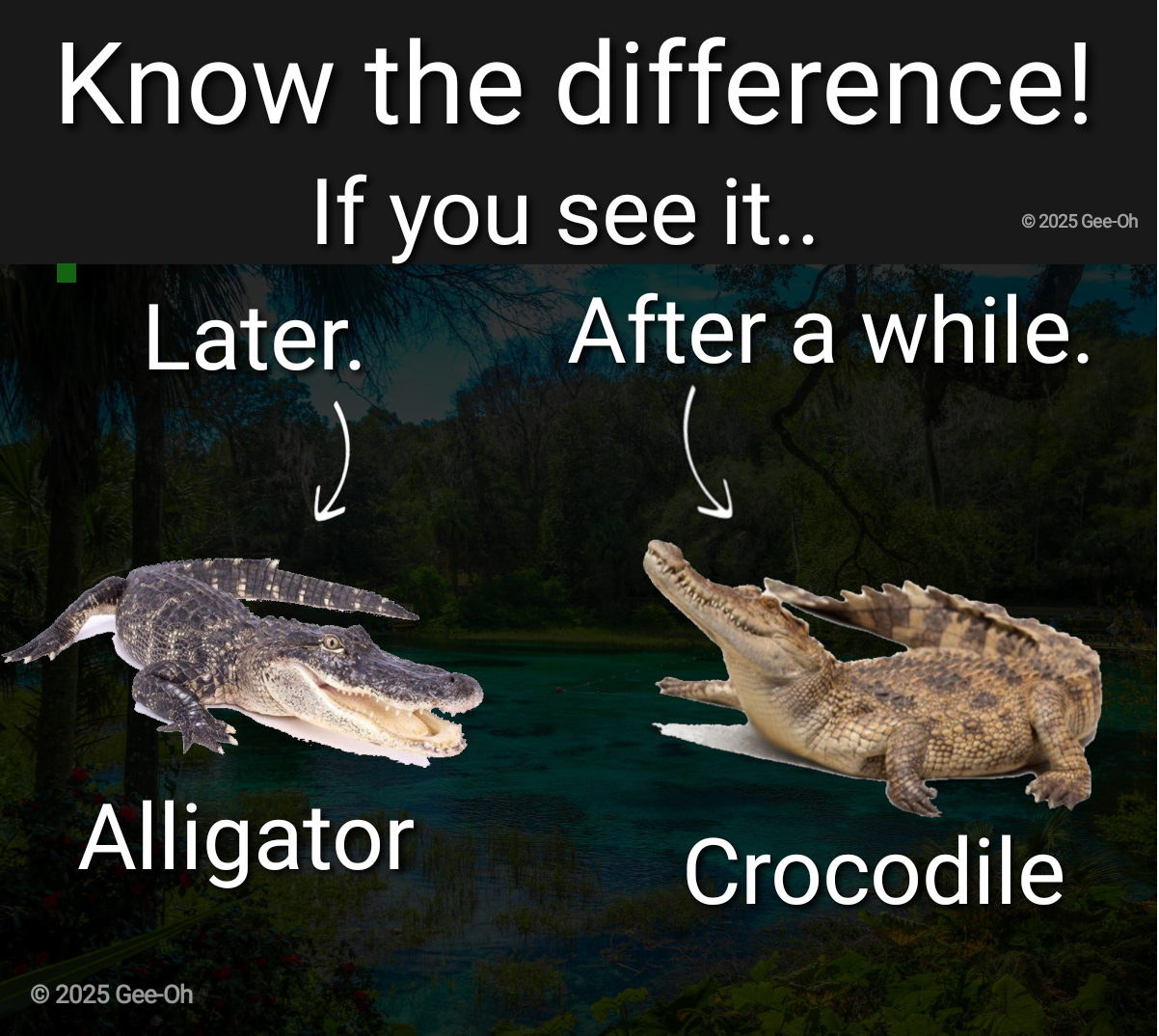 It could save your life!