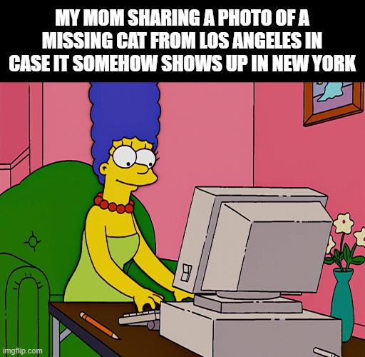 Opposite side of the USA