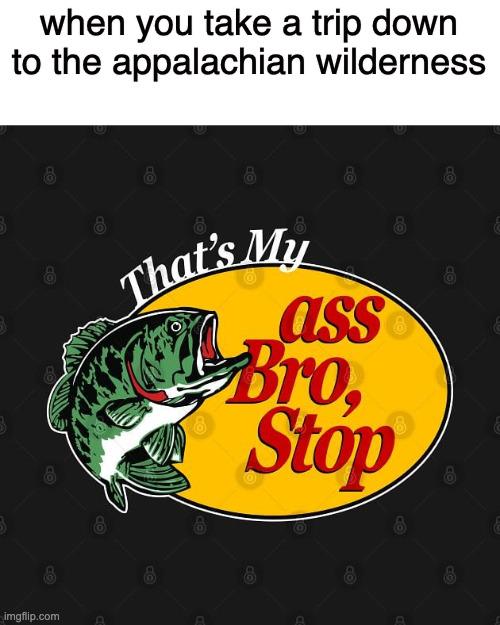 *deliverance theme intensifies*