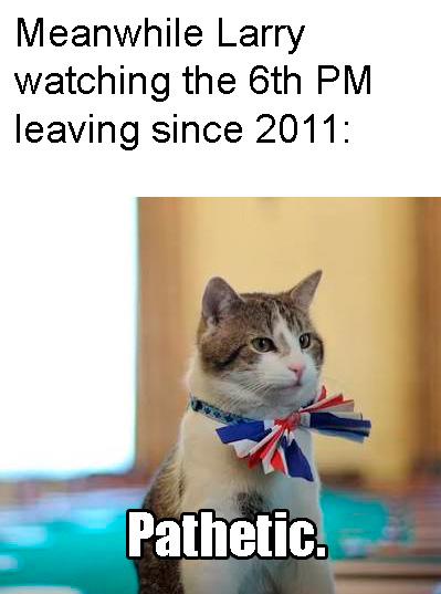 Larry 6 : UK PMs 0