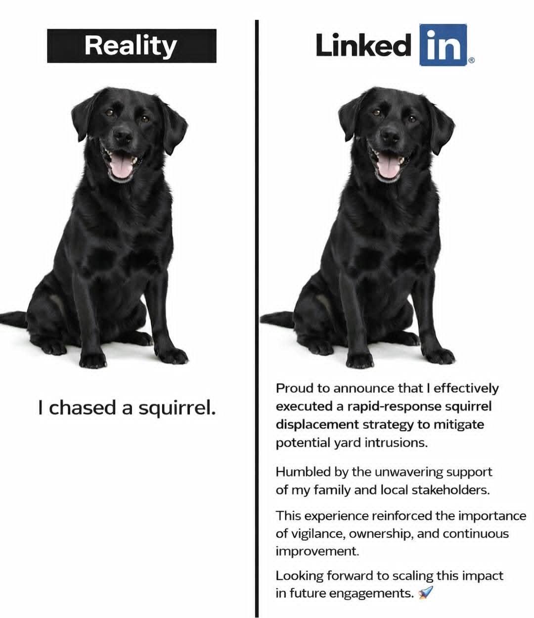 Reality vs LinkedIn