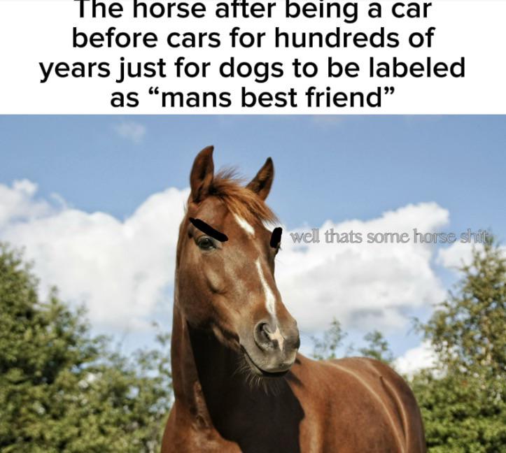 They’re probably jealous